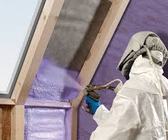 Best Spray Foam Insulation  in Nellis Af, NV